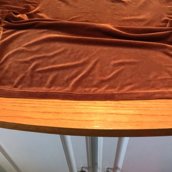 Draper’s & Damon’s medium petite velour short sleeve shirt. Like new condition! - Picture 4 of 7